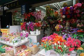 Kunming Bird and Flower Market 
